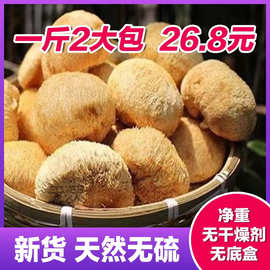 净重新货猴头菇500g包邮古田农家自产正宗干货非东北长白山半斤