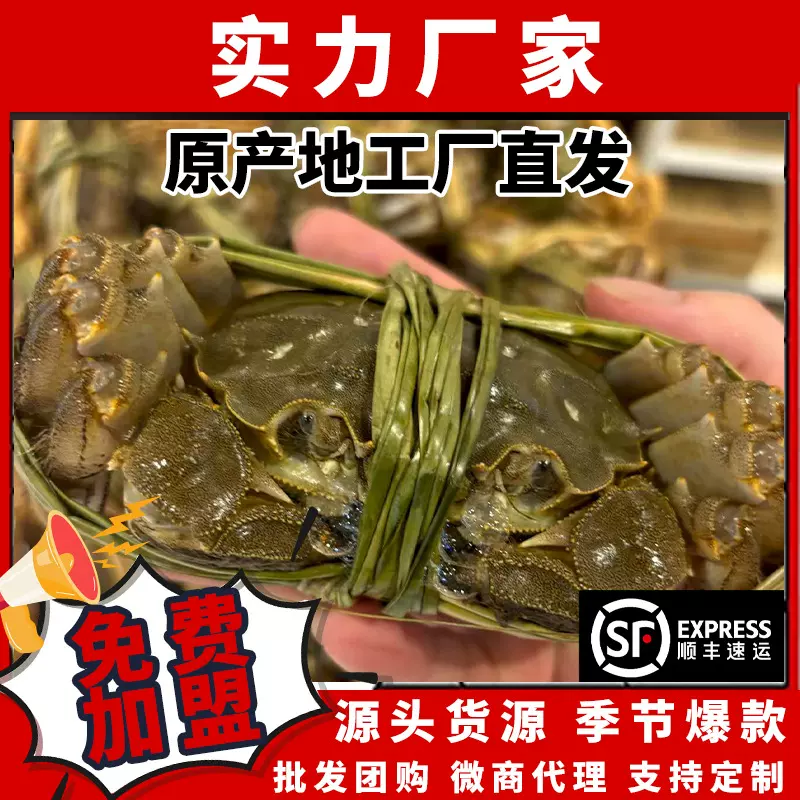 大闸蟹源头供应链诚招全国代理门店加盟企业集采微商代发顺丰发货