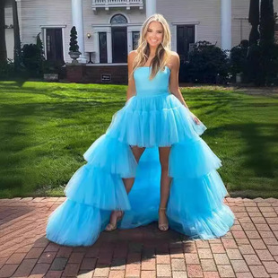 Cross-border Hot New Strapless Sexy Mesh Front Short Back Long Veil Dress Party European and American Cake Dress