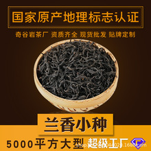 【贴牌加工定制 】福建武夷山正宗红茶兰香正山小种散茶批发500g