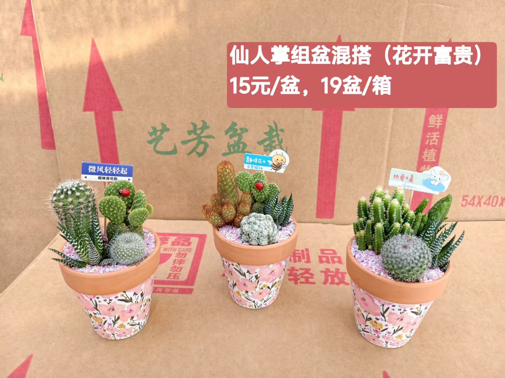 Cactus combinación de vidrio cerámico base de guangzhou venta directa factura boleto especial soporte de cotización de tres partes fábrica directa