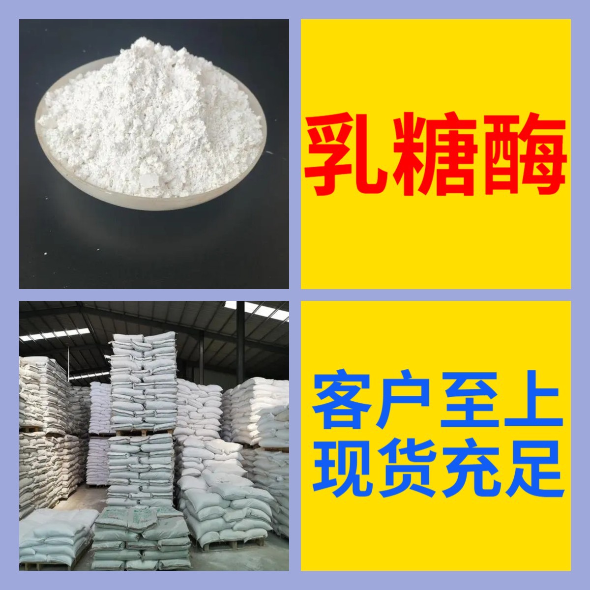 乳糖酶 工厂直供工业级分析纯满意的服务99%含量山东上海浙江江苏