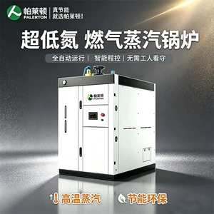 帕莱顿 Газовый парогенератор 1 тонна, коммерческая пищевая промышленность, крупное пивоварение, паровой котел на природном газе, 2 тонны