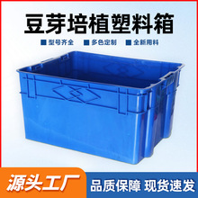 �S��ֱ�� ��ѿ�����a�������{ɫ�Nֲ�����������D��ߏ���������