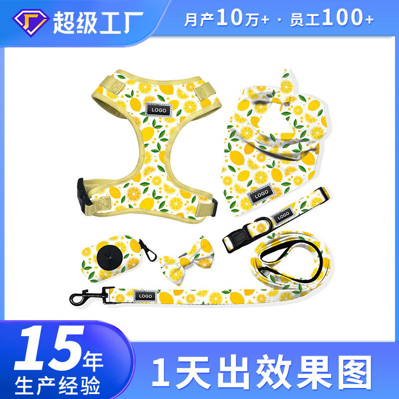 定制华松牵引绳套装宠物狗胸背带狗狗牵引绳宠物印花牵引六件套装