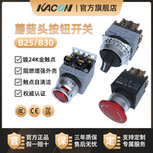 PKACON o_PС͆ӽioˮȫͣλB25/30