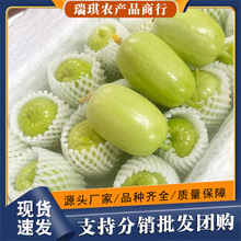������Ů�ƹ�ˮ��С�ƹ�Ĵָ�ƹ�������϶���������ƹϿɴ���