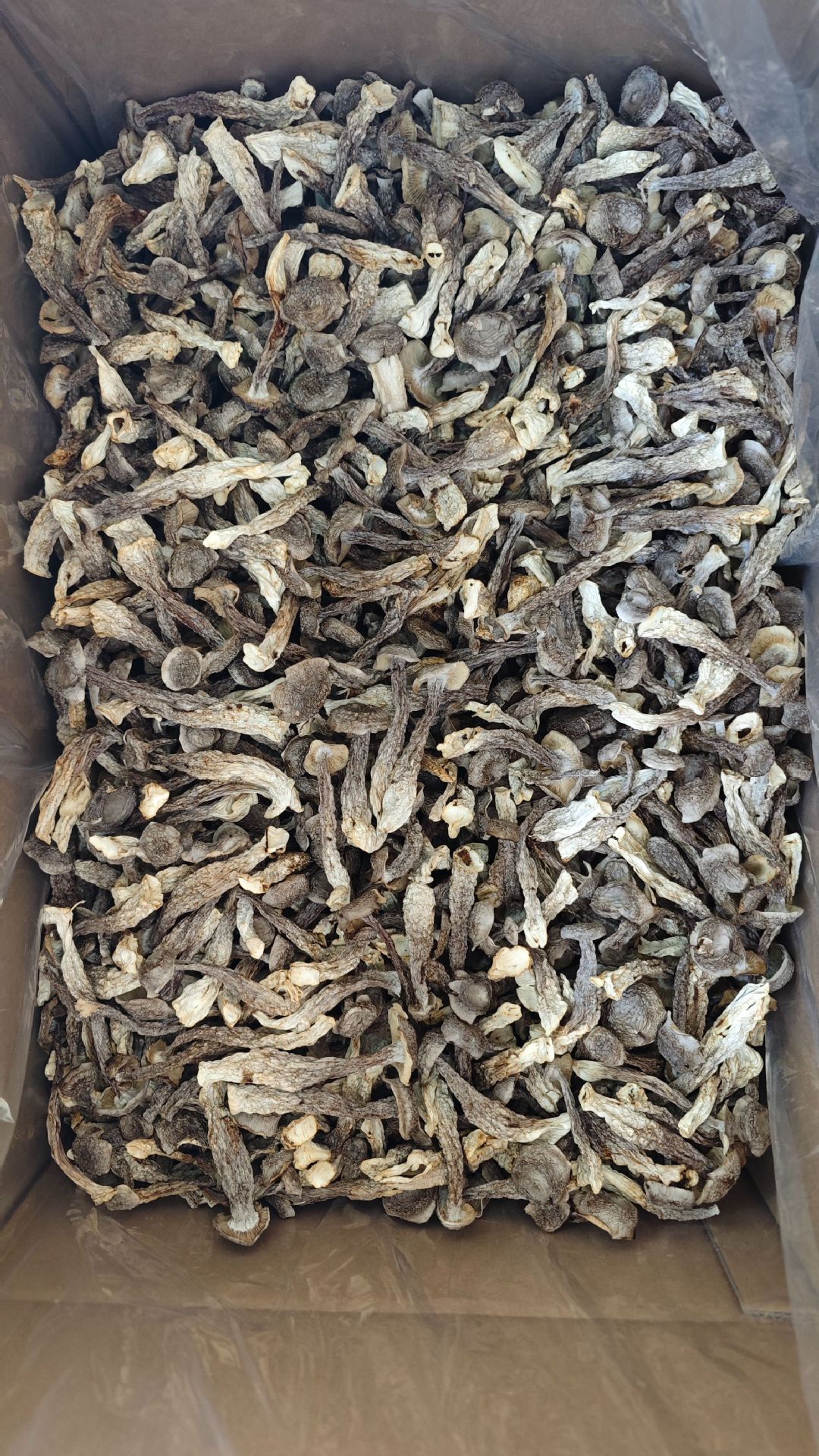 664a7abf3333e1df1340e71f090671