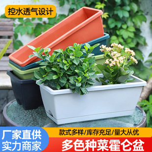 Balcony Vegetable Pot Household Special Vegetable Planting Rectangular Flower Pot Household Plastic Thickened Long Pot Planting Box