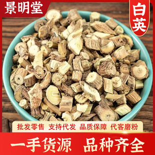 ��Ӣ500�� ����Ȫ ��ë�� ǧ�겻���� ���L�� ��ș�Ĵ�ȫ���l���l