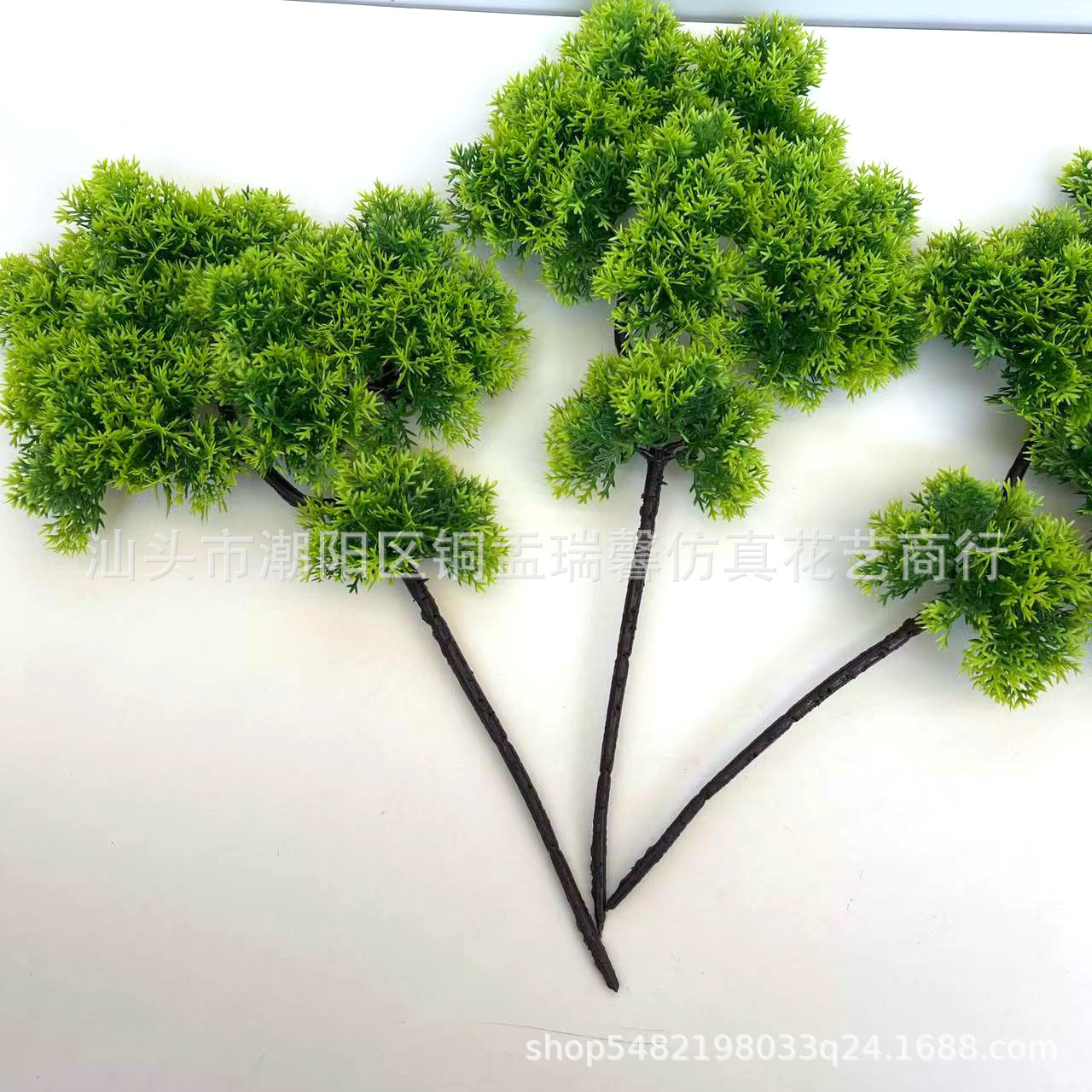 bf62b4bf1dd60a5ee56a63755ab0a2