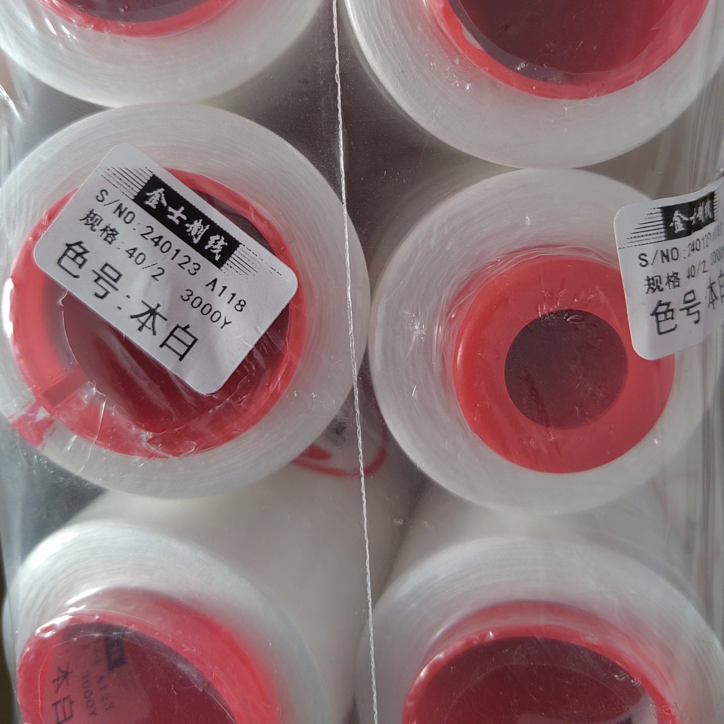 IMG_20240416_144156_副本