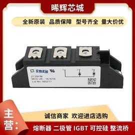 普通晶闸管;IGBT模块;其他二极管