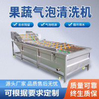 果蔬气泡清洗机 果汁加工清洗设备 中药材清洗气泡喷淋清洗机