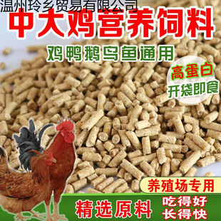80���u���ι�uС�u�_�����u���ʵ��u�a���w�����