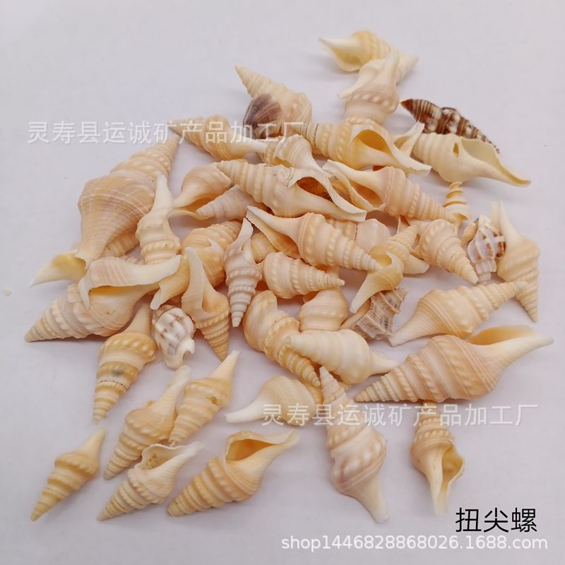 IMG_20210903_145901_副本