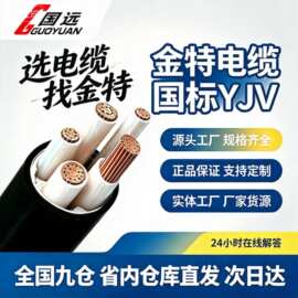 电线电缆纯铜ZR-YJV2芯10～300平无氧铜架空电力电缆线防火阻燃