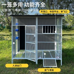 麓f烤漆工藝防鏽拼裝鴿舍鴿棚鴿籠戶外大型鳥籠雞籠孔雀籠觀賞籠