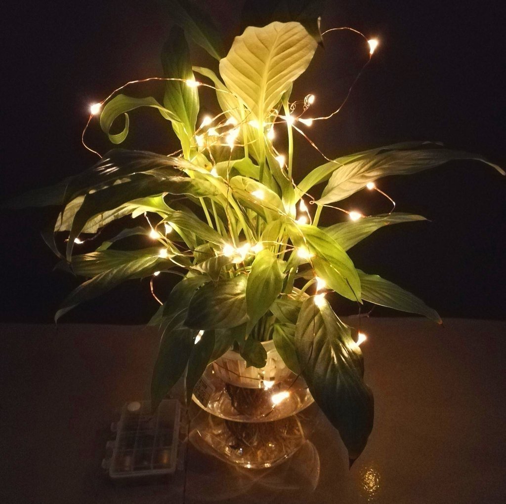 Caja de batería impermeable de ocho funciones con control remoto Luz de alambre de cobre LED de bajo voltaje impermeable LUZ DE Navidad 100LED Luz de cadena de alambre de cobre