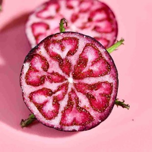 ��ϼt�����r���Fժ֩����Ϸ��˅��߶��ͶY����ˮ������һ�����l