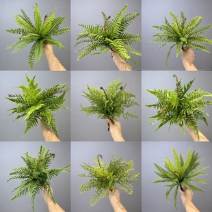 ާ~ Ųާ˹ֲާ~ާܛzֲ˹~~βާ