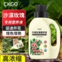 开花盆栽花期沙漠营养液