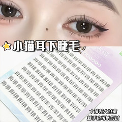 詩諾媚十排大容量小貓耳下睫毛懶人漫畫芭比單簇分段式新人假睫毛