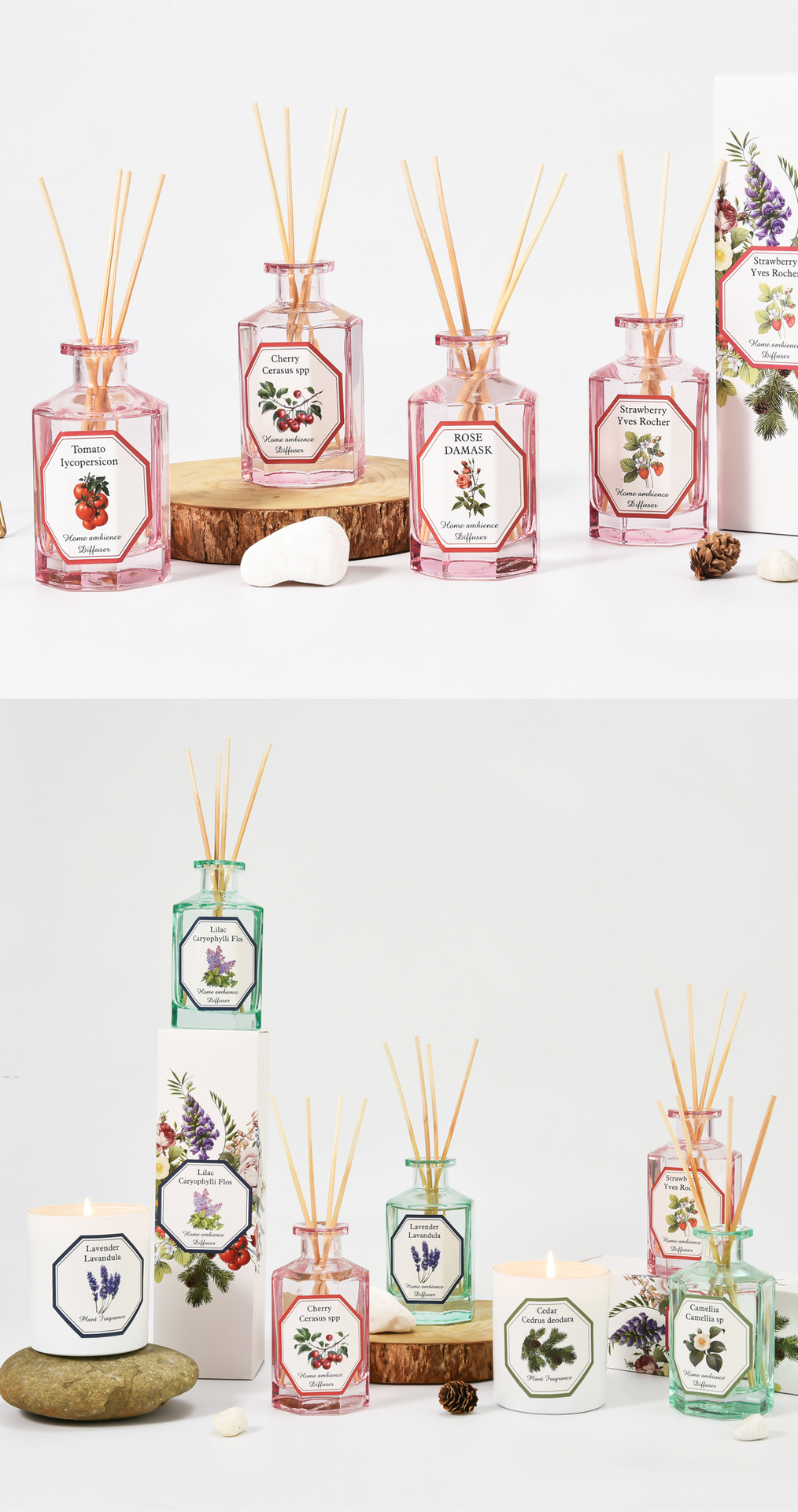 植物学家香薰_19