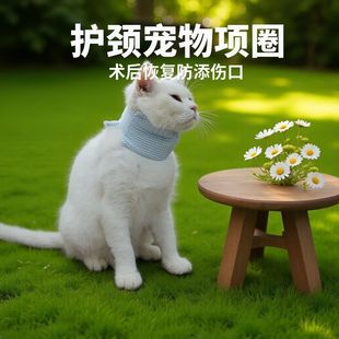 �ɐ�����ɯ��؈���Ȧ��ˮ�������Բ�Ȧ��Ó�����^�ײ��׿羳GL