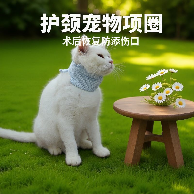 可爱伊丽莎白猫咪项圈防水围脖个性绝育脖圈防脱宠物头套脖套