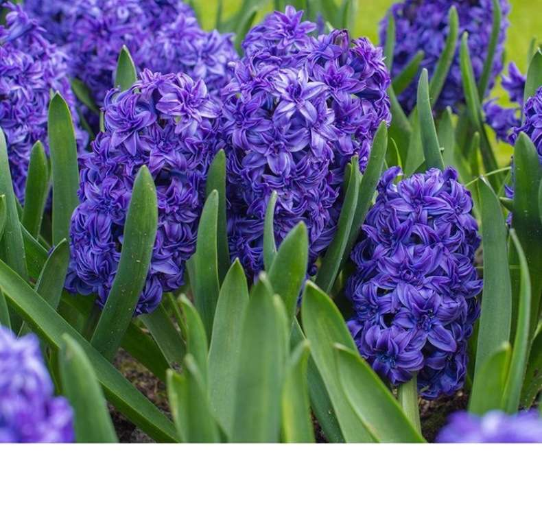 YJH_一键复制_20240722221433