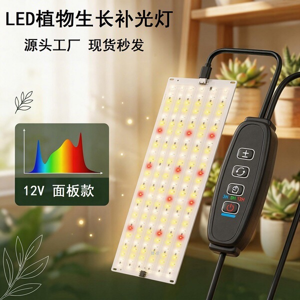 LED quantum lamp