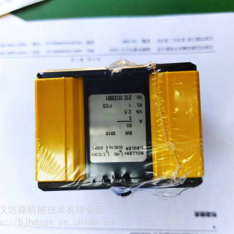 Müller Ziegler直流测量传感器IgT MU