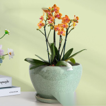 ˮЇL¿mmش̖lؔմɻ莧бP·҃