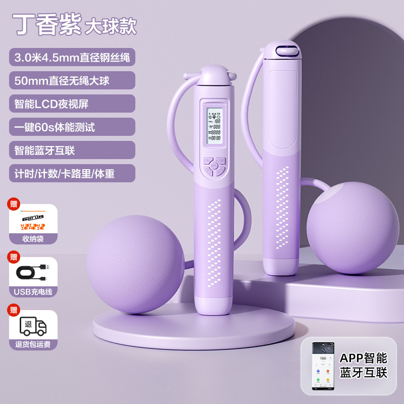 큰 공-보라색 + EVA 지퍼 가방
