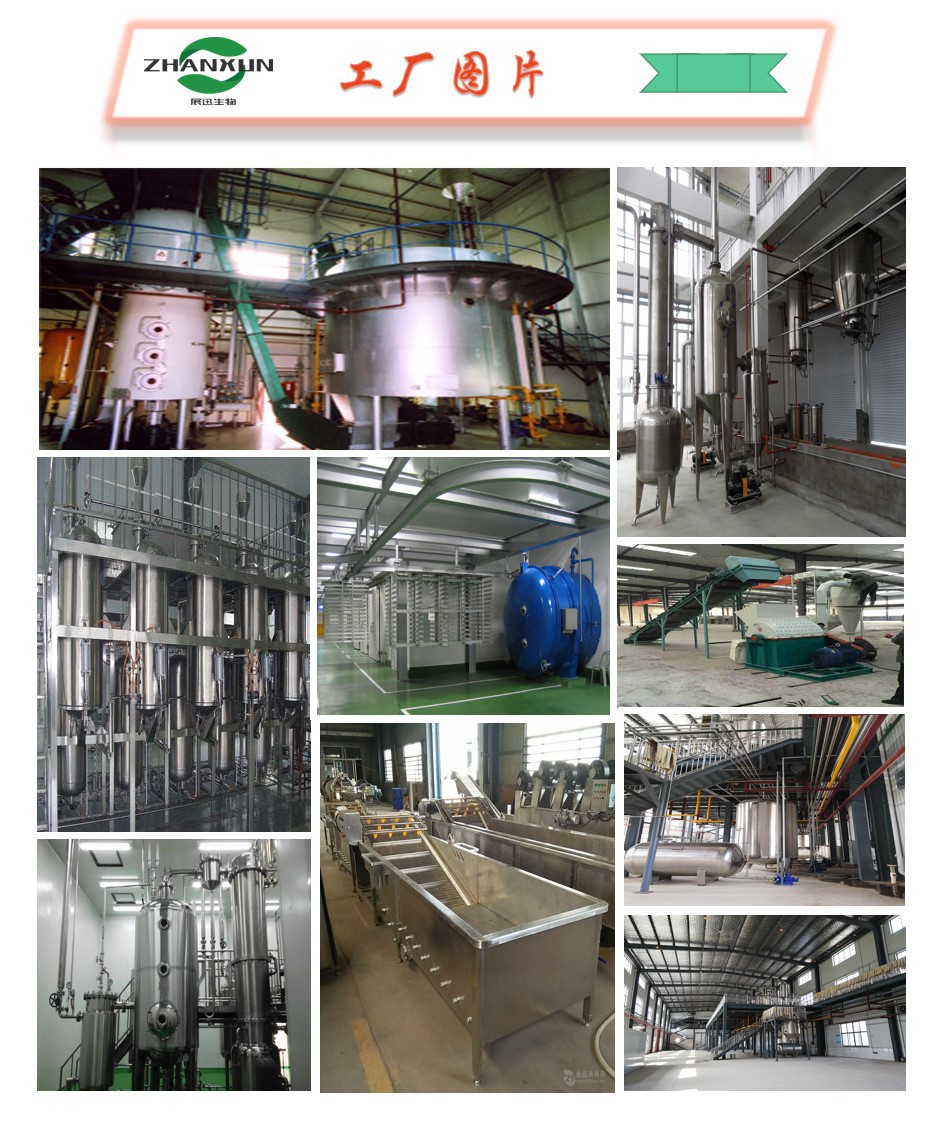 除虫菊提取物 除虫菊酯50% 除虫菊素 展迅生物