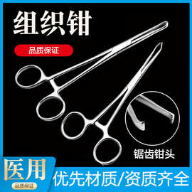 医用组织钳不锈钢横纹爱丽斯鼠齿钳夹持提取手术钳医疗妇科宫颈钳