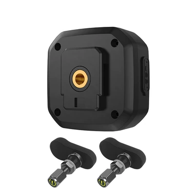 Portable, Tire pressure monitoring system