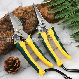 家用剪刀;厨用剪刀;修枝剪