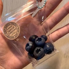 手作りの果物の袋のブルーベリーのつまみのおもちゃの卸売りの子供の解凍のつまみのつまみのおもちゃのリュックサックは飾ります。