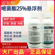 250克/升嘧菌酯葡萄霜霉病莲藕叶斑病黄瓜蔓枯病姜炭疽病杀菌剂