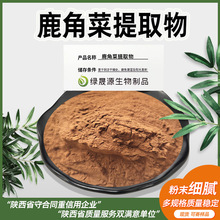 鹿角菜提取物30:1规格 比例萃取综合成分羊栖菜粉 实力商家供应