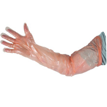 Ӻ˺һԫFL ţ˹ھzFtC