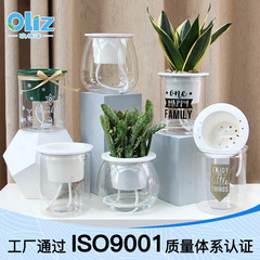 欧林沢メーカー現物植木鉢プラスチック卸売り創意PET怠け者水培花鉢挿し花瓶透明植木鉢