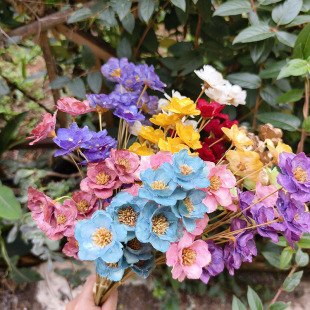 �������y⏻��ɻ��ֹ�ƴ�ӻ�������DIY�仨�p�ݻ����yɏ��ins�L