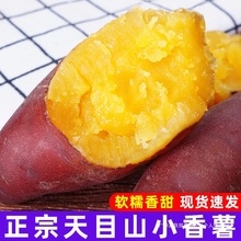 �����t�����r�R����ĿɽС������Ş��С�����ع�����С�t��������