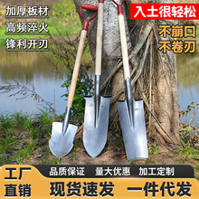 钢锹尖铲铁锨铁锹锰钢加厚木柄挖树专用锹农用挖土户外窄铲子厂家