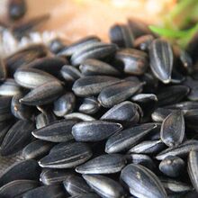 内蒙黑珍珠小瓜子2斤1斤批发生油葵瓜子五香椒盐小油葵花子奶油味