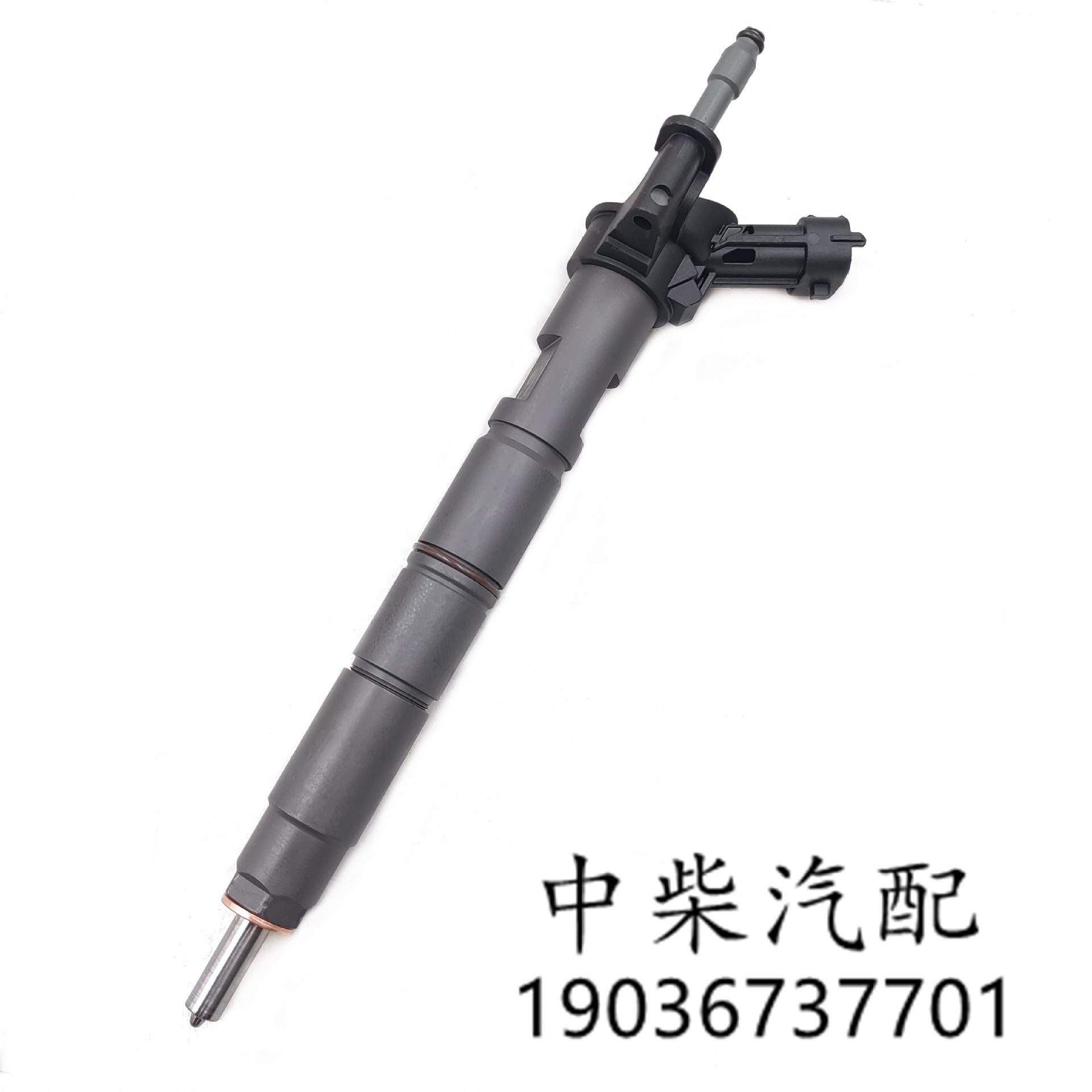 微信图片_20231127094701_副本_副本