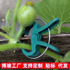 クロスボーダー園芸胡蝶蘭園林セットトマト植物固定クリッププラスチッククリップ園芸ツール現物卸売り